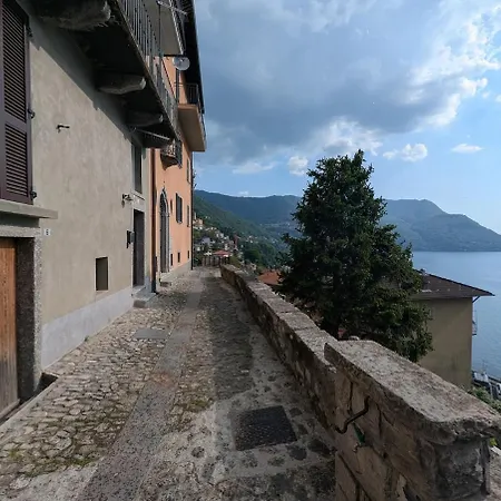 The Sunflower Of * Pognana Lario