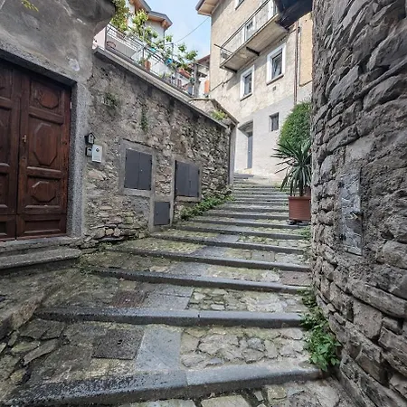 The Sunflower Of * Pognana Lario