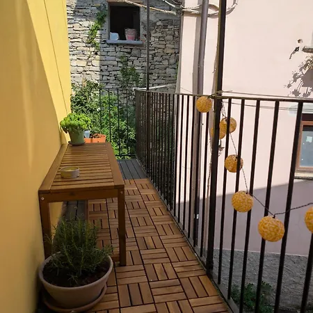 The Sunflower Of *