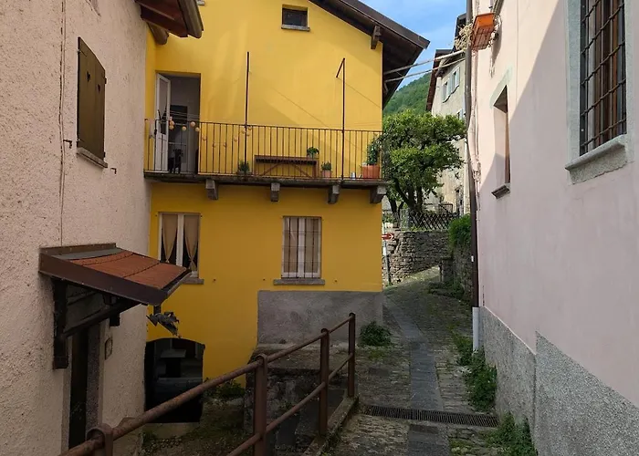 The Sunflower Of Ferienhaus Pognana Lario