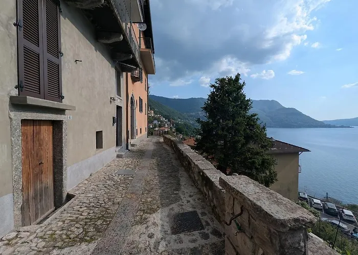 The Sunflower Of * Pognana Lario