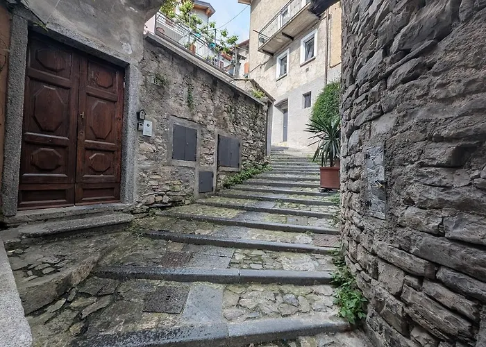 The Sunflower Of * Pognana Lario