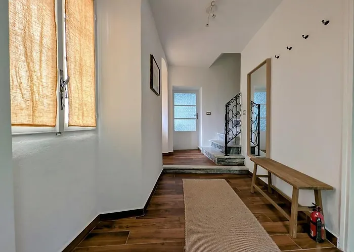 The Sunflower Of * Pognana Lario