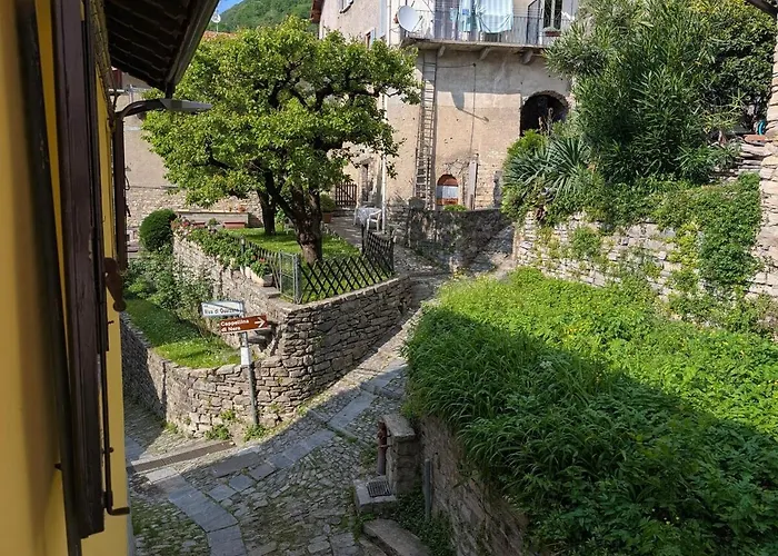 The Sunflower Of Ferienhaus *